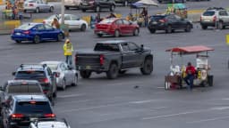 Un hombre de California, condenado a cinco años de prisión por introducir reptiles de contrabando en EE. UU.
