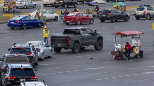 Un hombre de California, condenado a cinco años de prisión por introducir reptiles de contrabando en EE. UU.