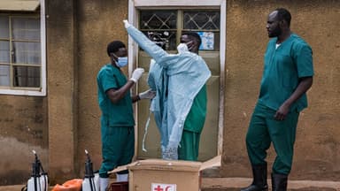 Se prometen 60 MDD para acelerar vacunas contra el ébola