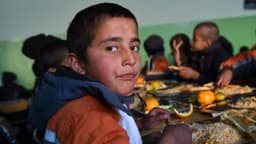 Anualmente se registran unos 866 millones de casos de enfermedad relacionados con alimentos contaminados: OMS