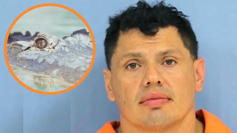 Caimán recibe condecoración especial tras su ayuda inesperada para atrapar a un fugitivo