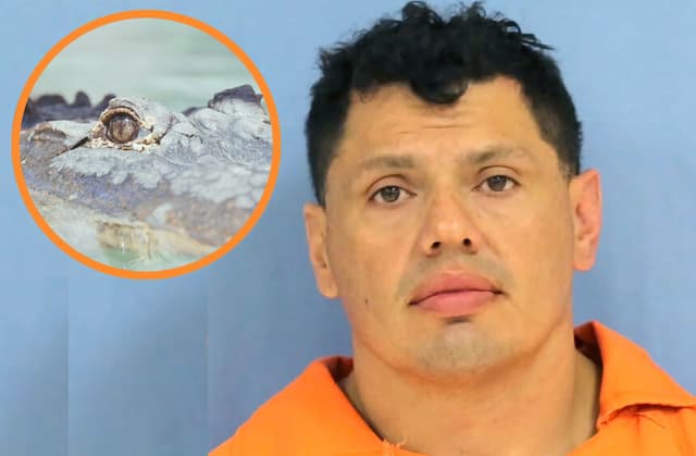 Caimán recibe condecoración especial tras su ayuda inesperada para atrapar a un fugitivo