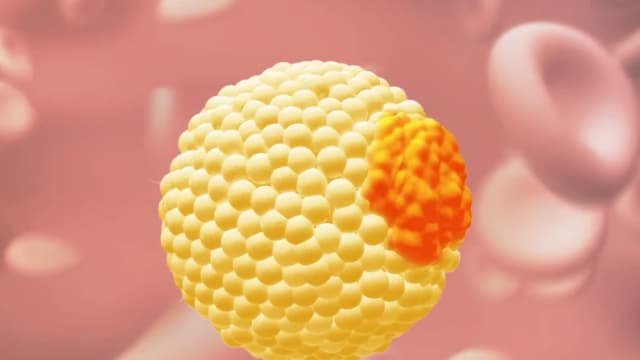 Por qué la prueba que mide ApoB es una mejor prueba que la del colesterol estándar