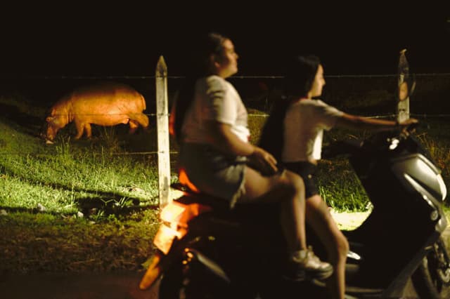Unos vecinos pasan en moto junto a un hipopótamo salvaje —descendiente de una pequeña manada introducida por el narcotraficante Pablo Escobar— en el departamento de Antioquia, Colombia, el 23 de abril de 2023. (RAÚL ARBOLEDA/AFP vía Getty Images)