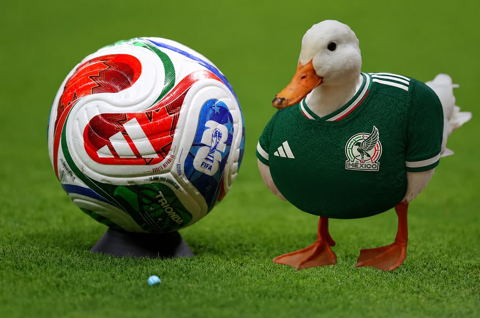 ¿Quién es Merlín? El pato mundialista convocado por la FIFA