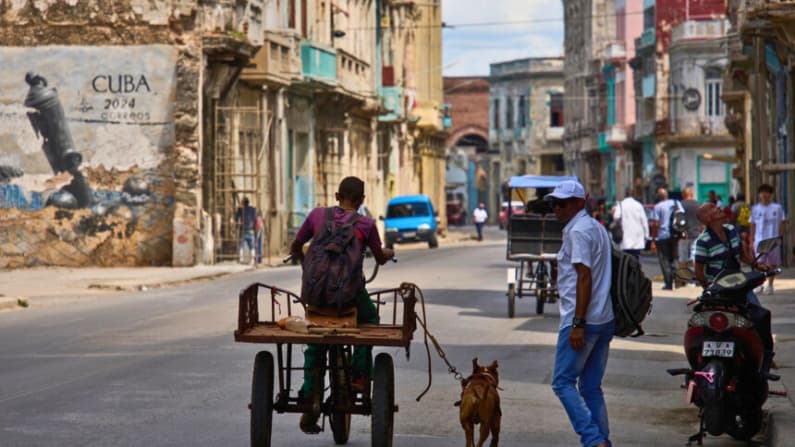 El portal en línea para el envío de mercancías a los cubanos cesa su actividad