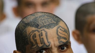 EE. UU. ofrece 15 millones de dólares por "Porky" y "Cuervo", líderes de alto rango de la MS-13