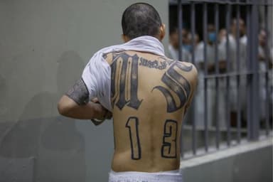 EE. UU. ofrece 15 millones de dólares por "Porky" y "Cuervo", líderes de alto rango de la MS-13