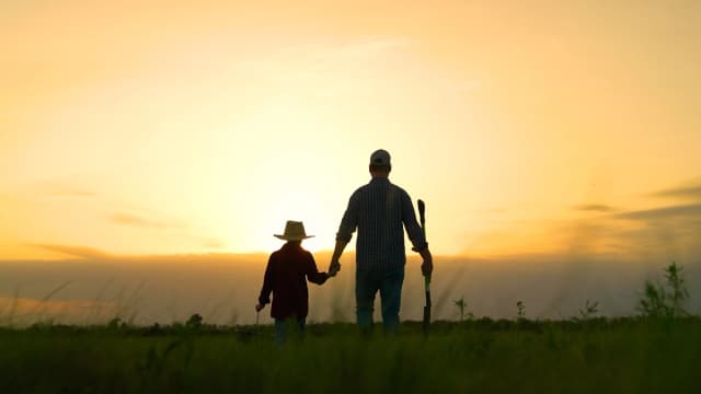 (Dream Inspirations/Shutterstock)