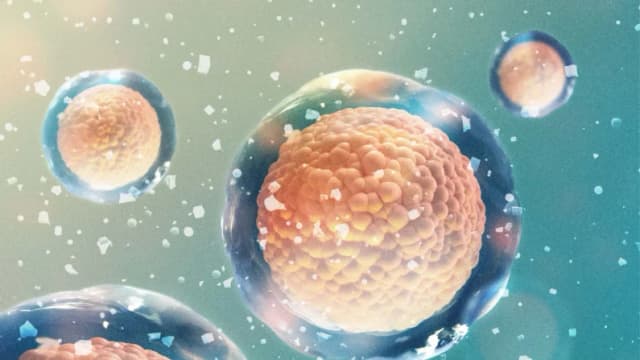 Deficiencia de minerales: La causa oculta de la fatiga y la confusión mental