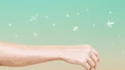 ¿Es un imán para los mosquitos? aquí 12 razones científicas