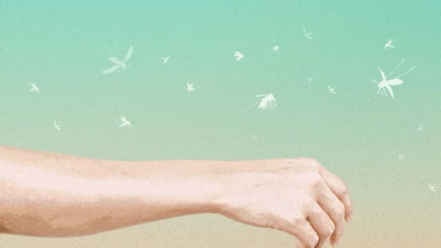 ¿Es un imán para los mosquitos? aquí 12 razones científicas