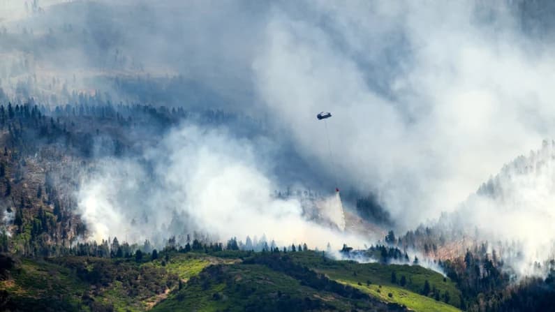 Mueren tres bomberos mientras combatían un incendio en la frontera entre Colorado y Utah