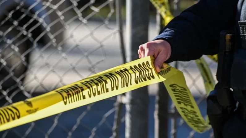 Sheriff denuncia escena "espantosa" tras hallar 117 perros muertos en refugio de California