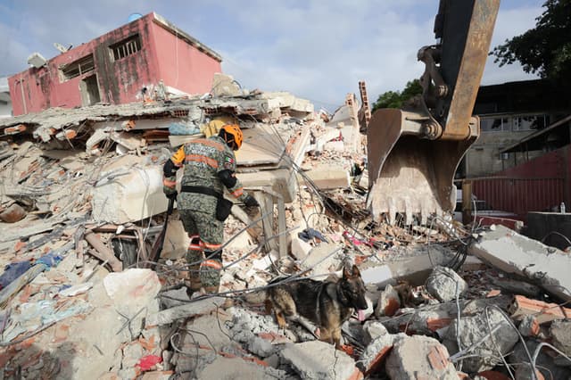 Un rescatista del Ejercito de México junto a su perro trabajan en un edificio afectado por los terremotos del pasado miércoles, en La Guaira, Venezuela. (EFE/ Ronald Peña R)