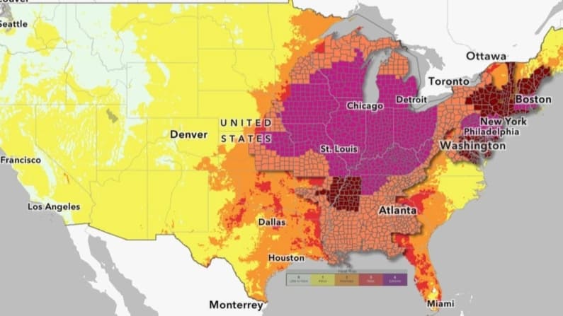 Más de 60 millones de personas están bajo alertas de calor extremo en EE. UU.