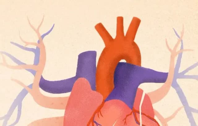 Lo que las pruebas cardíacas estándar no detectan: Las 4 dimensiones clave de la salud del corazón