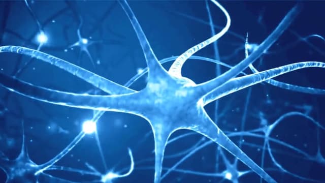 Técnicas ancestrales que reinician su sistema nervioso