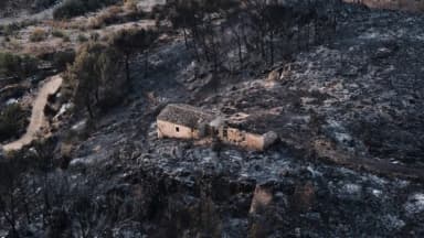 Cientos de bomberos combaten incendio forestal en el sur de España que deja al menos 12 muertos