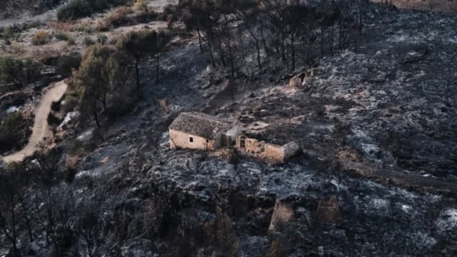 Cientos de bomberos combaten incendio forestal en el sur de España que deja al menos 12 muertos