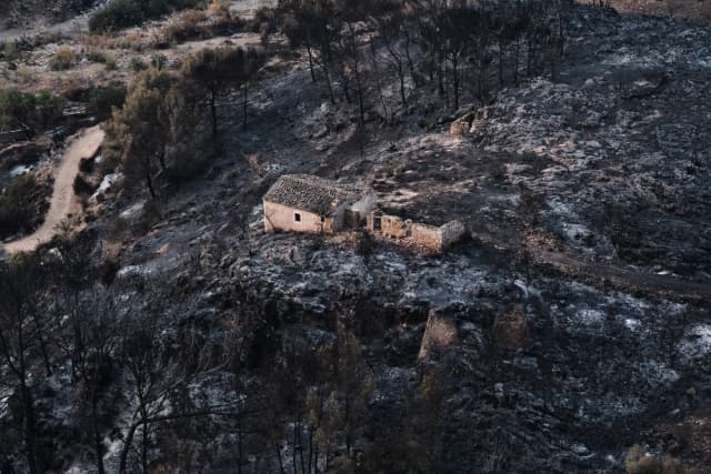 Una zona quemada afectada por los incendios forestales en Bedar, cerca de Almería, España, el 11 de julio de 2026. (Gregorio Marrero/AP Photo)