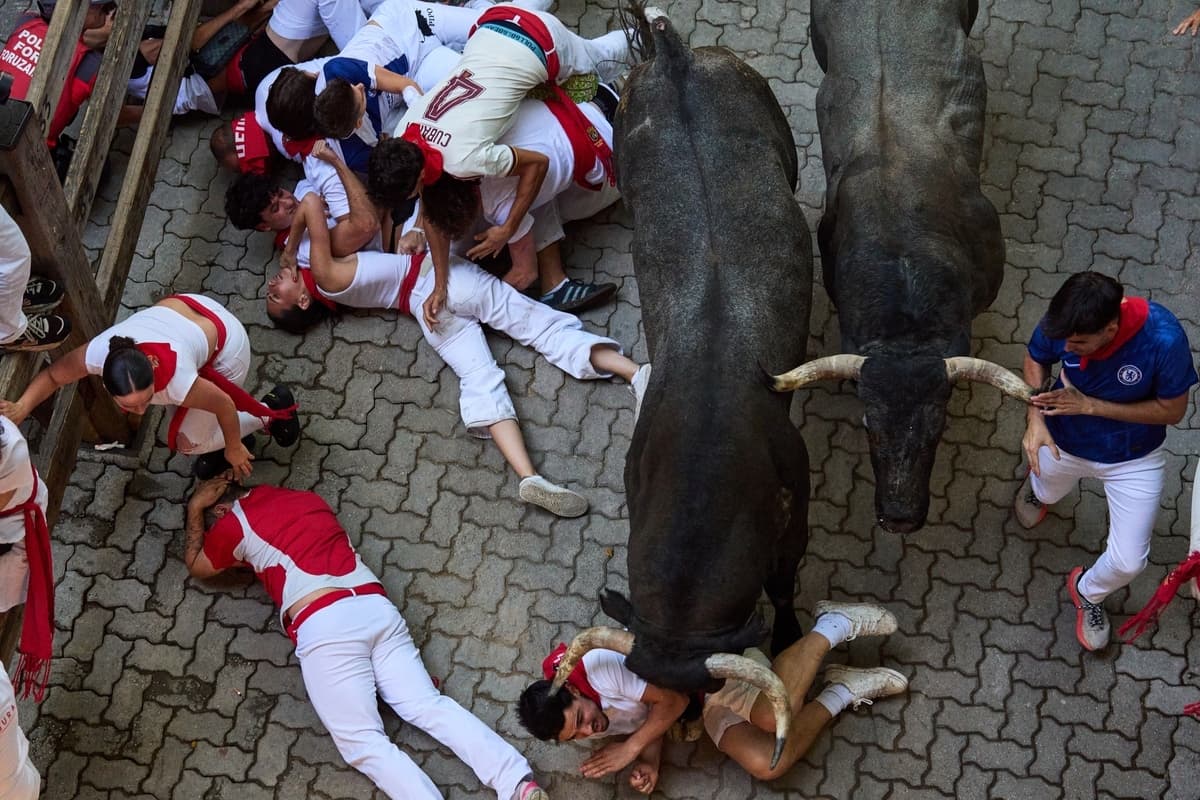 Participantes caen junto a los toros de lidia de la ganadería José Escolar durante el quinto encierro de las fiestas de San Fermín, en Pamplona, España, el sábado 11 de julio de 2026. (Miguel Oses/AP)