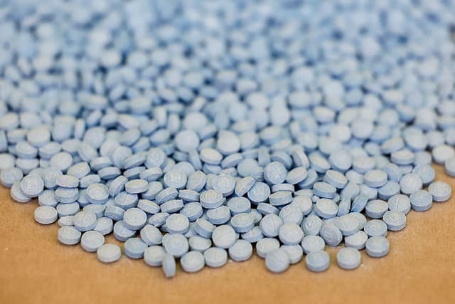 El 7 de mayo de 2026, se exhiben pastillas que contienen fentanilo en el Laboratorio Regional del Noreste de la Administración para el Control de Drogas (DEA), en Nueva York, para su análisis. (ANGELA WEISS / AFP vía Getty Images)