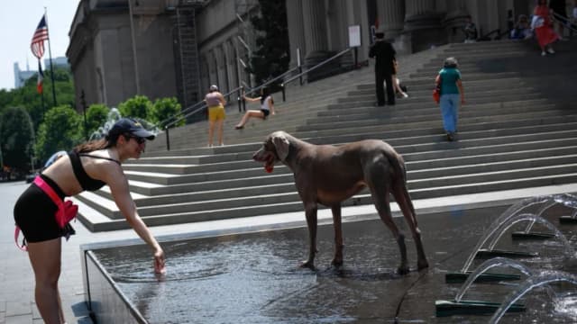 Emiten alertas ante el aumento repentino de la demanda de electricidad debido a la ola de calor