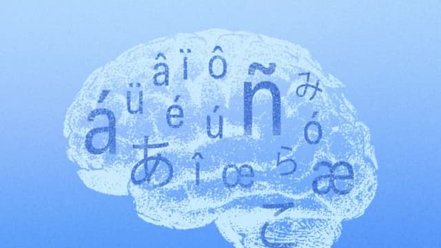¿Quiere un cerebro más joven? Estudie otro idioma