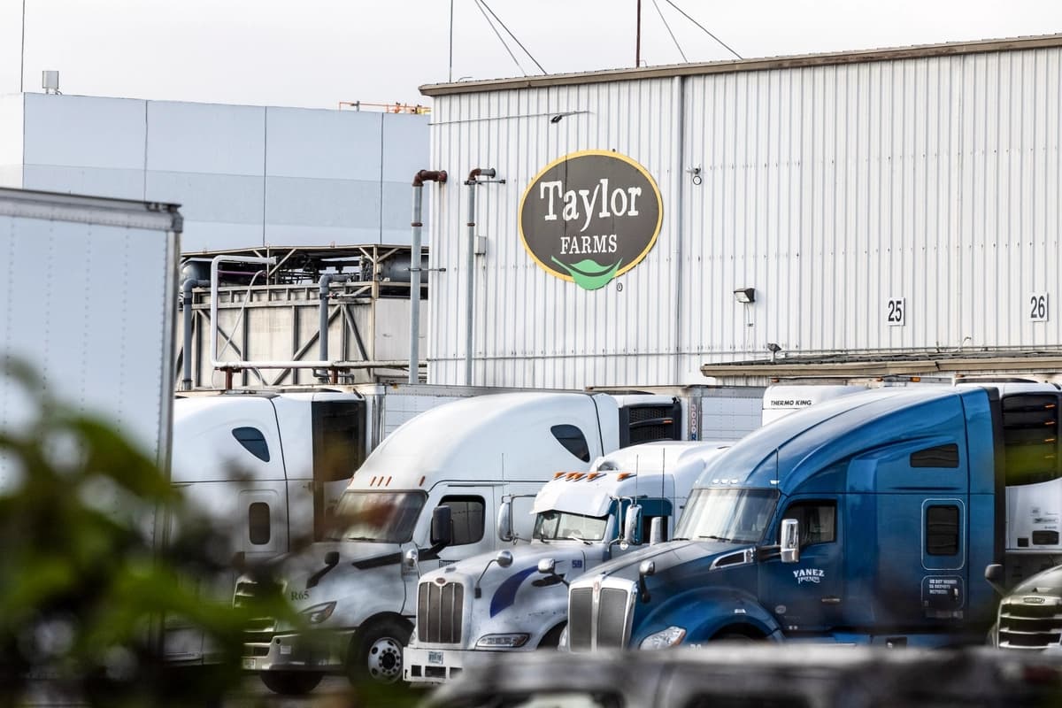FDA sigue investigando la lechuga de Taylor Farms por Cyclospora pese a falso positivo