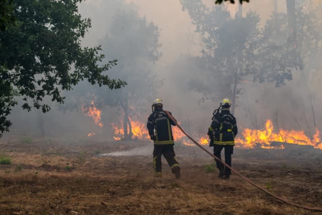 Francia y España luchan contra incendios forestales y 250,000 personas deben abandonar sus hogares