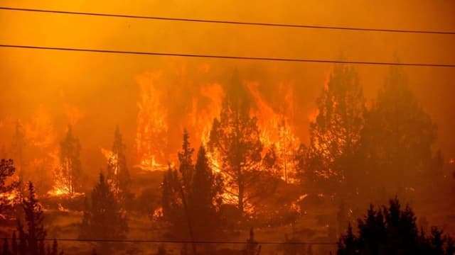 4 bomberos murieron y 90 grandes incendios quedaron sin control en el año con mayor actividad de incendios