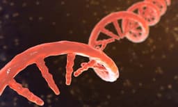 Universidad china revisa investigación sobre edición genética tras muerte de niña de 6 años