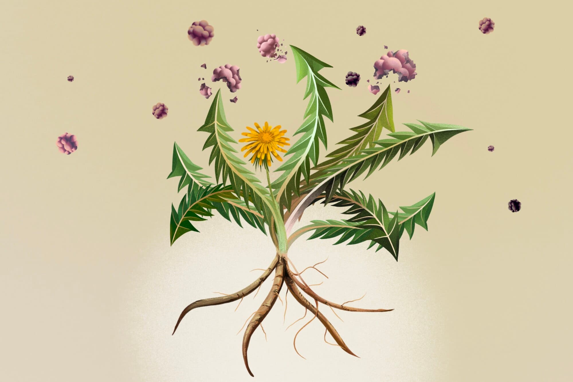 (Ilustración de Lumi Liu)