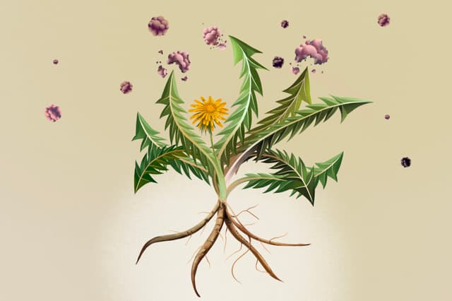 (Ilustración de Lumi Liu)
