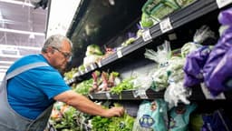 México rechaza ser origen del brote de ciclosporiasis que se dio en EE. UU.
