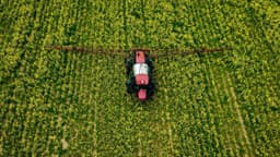 Estudio vincula el contacto con pesticidas en el trabajo con un mayor riesgo de ELA