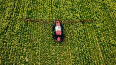 Estudio vincula el contacto con pesticidas en el trabajo con un mayor riesgo de ELA