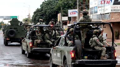México enviará refuerzos de seguridad a Michoacán tras suspensión a exportación de aguacate por EE. UU.