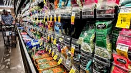 Michigan levanta la advertencia sobre la lechuga a medida que disminuyen los casos de ciclosporiasis