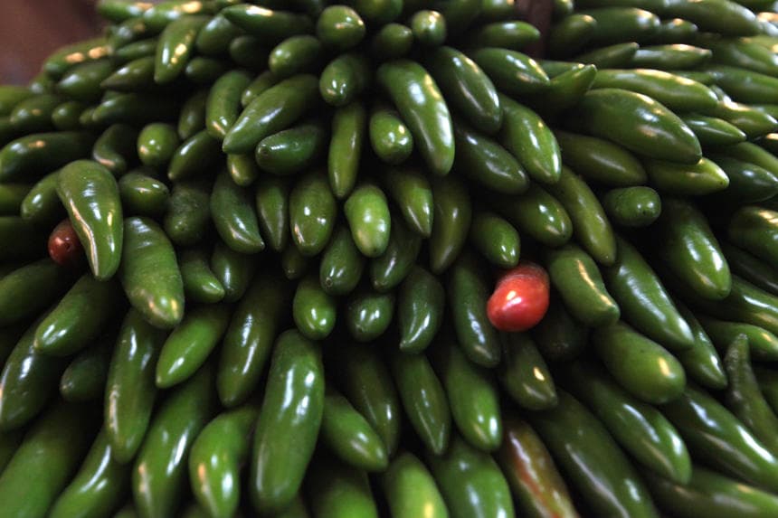 Fotografía de archivo que muestra chile jalapeño, en un mercado de Ciudad de México (EFE/Sáshenka Gutiérrez)