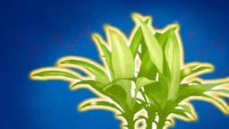 ¿Las plantas tienen conciencia?