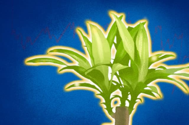 ¿Las plantas tienen conciencia? (Ilustración de Ran, The Epoch Times).