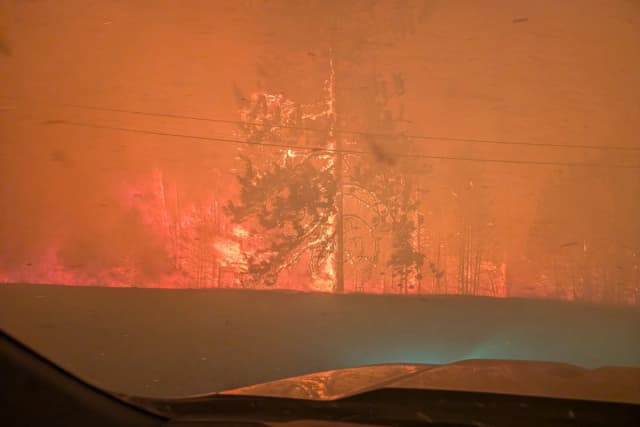 Árboles en llamas en el incendio forestal de Bald Range, vistos desde un vehículo, al noroeste de Summerland, Columbia Británica, el 7 de agosto de 2026. (Servicio de Incendios Forestales de Columbia Británica/Imagen cedida vía Reuters)