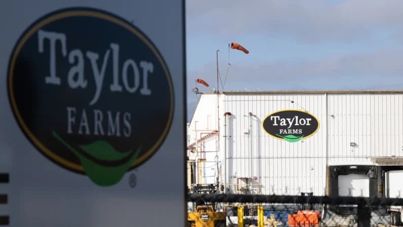 Taylor Farms retira productos en EE. UU. por posible salmonela vinculada a jalapeños de México