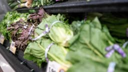 Director interino de la FDA insta a estadounidenses tener confianza en el suministro de alimentos