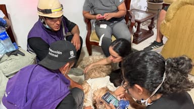 El rescate de Antonio, un perro entre los escombros, renueva la esperanza de una familia en Cali