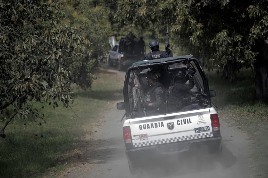 Policías de la Guardia Civil realiza guardias por cultivos de aguacate en el municipio de Uruapan, en Michoacán, México. Imagen de archivo. (EFE/Iván Villanueva)