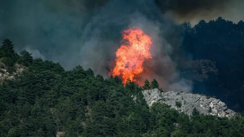 Qué les espera a los 474 detenidos por los incendios forestales de este verano en Francia