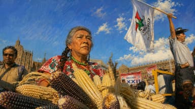 México, tierra del maíz: de la semilla nativa a la dependencia